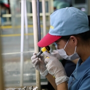 Vốn đầu tư vào Việt Nam đang có xu hướng tích cực