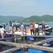 Đề xuất giảm tiền thuê đất, thuê mặt nước khoảng 3.500 tỷ đồng trong năm 2022