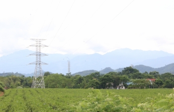 Phải sớm giải quyết điểm nghẽn giải phóng mặt bằng cho dự án ĐZ 220 kV mạch kép đấu nối TBA 220 kV Bắc Quang
