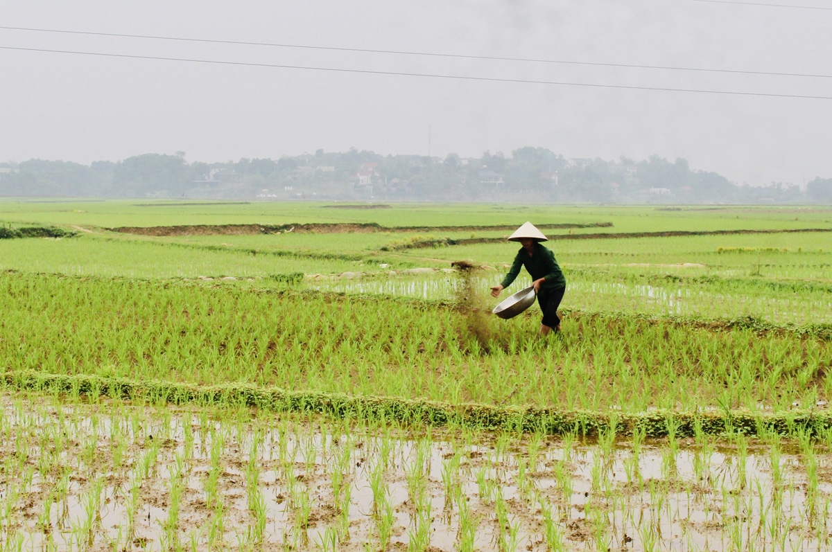 Tháo gỡ khó khăn cho ngành nông nghiệp