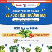 Nông sản tìm đầu ra hiệu quả nhờ thương mại điện tử