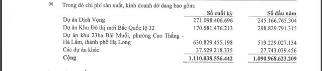 Nhà Từ Liêm 'vỡ kế hoạch' kinh doanh năm 2021: Đặt kỳ vọng lớn vào dự án Bãi Muối (Quảng Ninh) trong năm tới