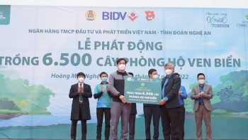 BIDV trồng 6.500 cây phòng hộ ven biển tại Nghệ An