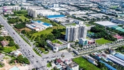 Long An: Dừng tách thửa, tăng cường công tác quản lý đất đai tránh gây "sốt đất ảo"