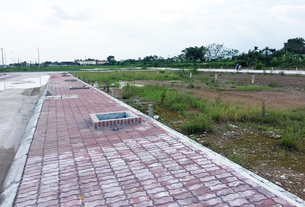 Đề nghị các địa phương tăng cường siết chặt hoạt động đấu giá đất