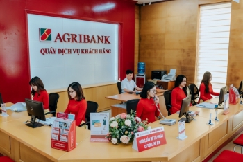 TP HCM: Agribank bán đấu giá nhiều lô đất để thu hồi nợ