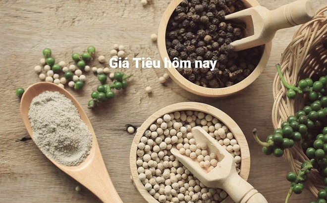Giá tiêu hôm nay 25/7: Nối dài đà tăng