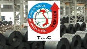 Thép Tiến Lên lỗ hơn 61 tỷ đồng vì chứng khoán