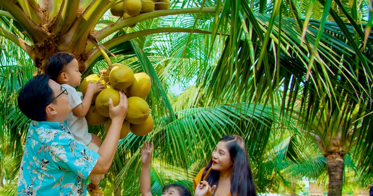 Bến Tre: Tập trung xây dựng thương hiệu du lịch xứ Dừa