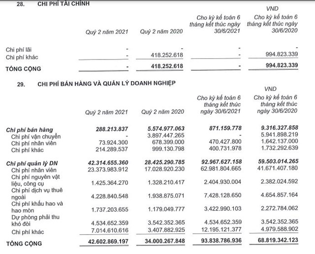 Lợi nhuận quý 2 tại Ricons 