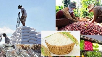 Tổng kim ngạch xuất, nhập khẩu nông, lâm, thủy sản ước đạt hơn 58 tỷ USD