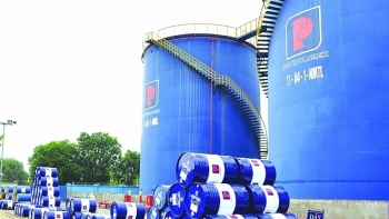 7 tháng đầu năm, nhập khẩu các nhóm hàng năng lượng tiếp tục tăng cao