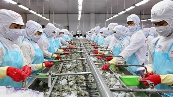Phấn đấu giá trị kim ngạch xuất khẩu thủy sản đạt 7,8 tỷ USD vào năm 2025