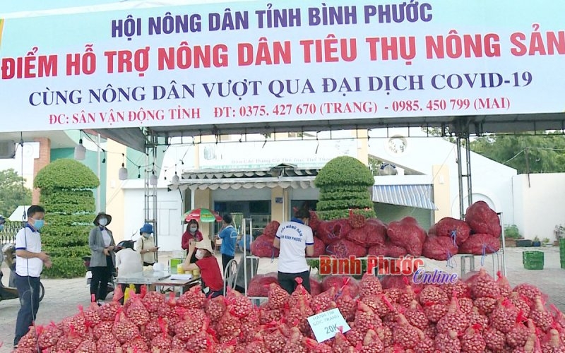 Bình Phước giúp nông dân tiêu thụ nông sản trong mùa dịch Covid-19