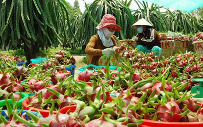 Long An hỗ trợ nông dân đưa hàng hóa, nông sản lên sàn thương mại điện tử