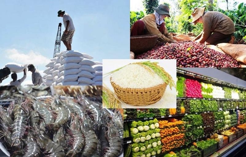 Tổng kim ngạch xuất nhập khẩu nông, lâm, thủy sản ước đạt hơn 82 tỷ USD