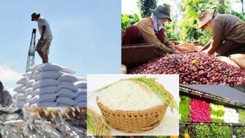 Tổng kim ngạch xuất nhập khẩu nông, lâm, thủy sản ước đạt hơn 82 tỷ USD