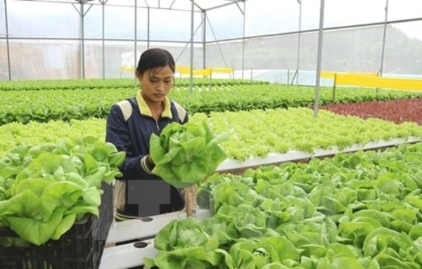 Miễn lệ phí môn bài với doanh nghiệp mới thành lập