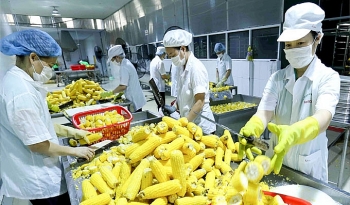 Những tháng đầu năm thị trường rau quả biến động thất thường