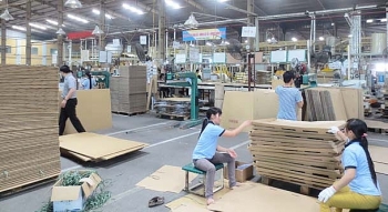 Chính phủ quyết liệt gỡ khó cho ngành giấy