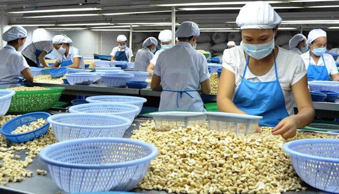 xuat khau quy ii tiep tuc chiu anh huong tu cang thang thuong mai my trung