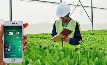 Muốn ra “biển lớn”, doanh nghiệp nông nghiệp phải trầy trật tìm nhân lực chất lượng