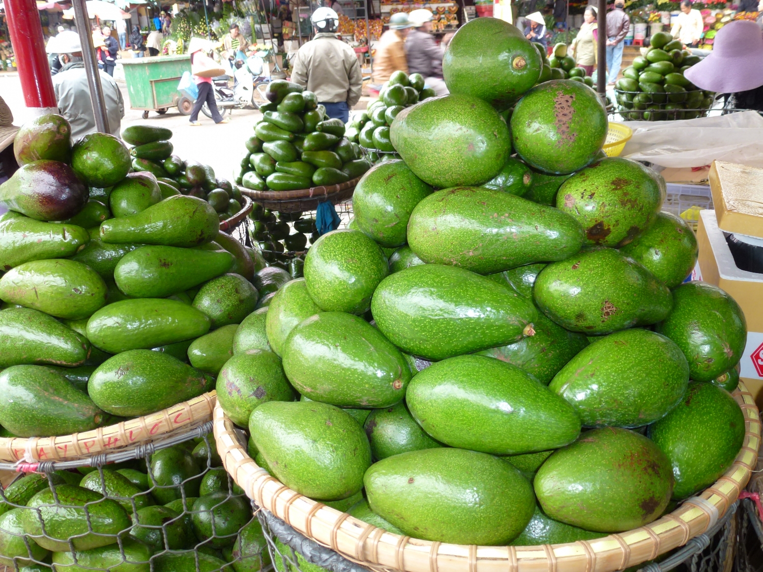 bo viet tim duong xuat ngoai vai thieu luc ngan gia cao van hut khach