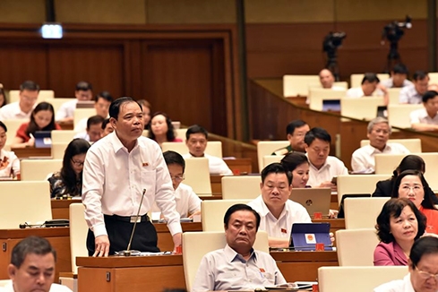 Đề phòng “sốt” giá lợn vào những tháng cuối năm