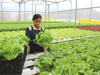Ngành nông nghiệp quyết liệt giảm thủ tục kiểm tra chuyên ngành