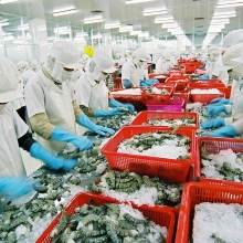 Xuất khẩu các mặt hàng nông sản giảm 21,6%