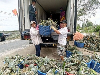 Hà Nội thừa nhận giám sát chất lượng nông sản còn khó khăn