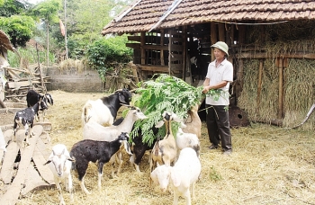 Cần tăng cường tín dụng trung và dài hạn cho người nghèo