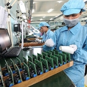 Tiến độ cổ phần hóa ì ạch hơn cả “rùa bò”!