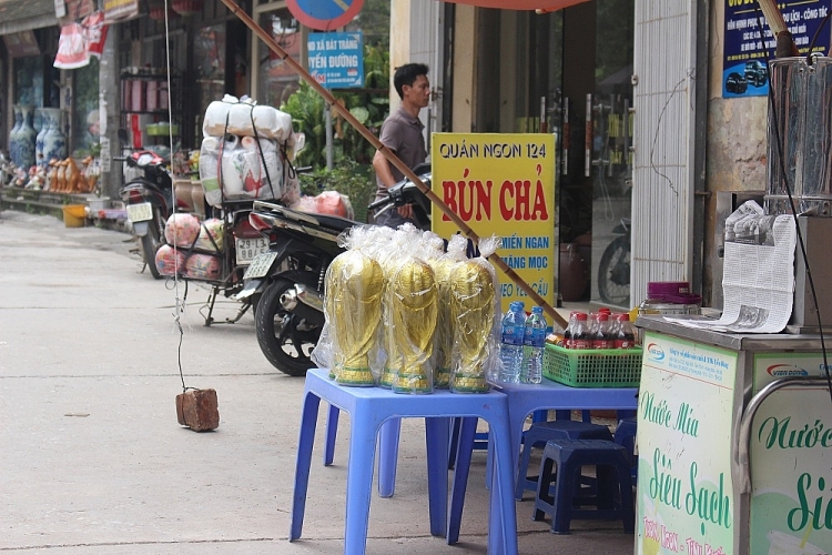 cup world cup made in viet nam vuon tam the gioi