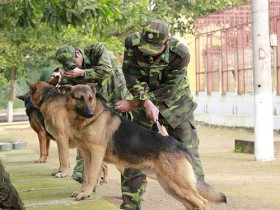 Huyền thoại Rútxlan: Những ngày gian khổ và lai lịch của Rútxlan