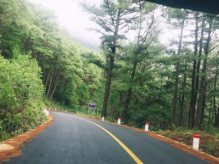 kham pha nhung dia diem du lich noi tieng o da lat