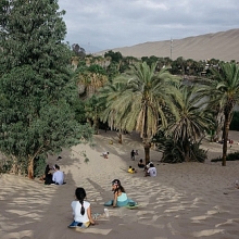 kham pha khu rung ma mi noi nhung cay thong biet nhay mua