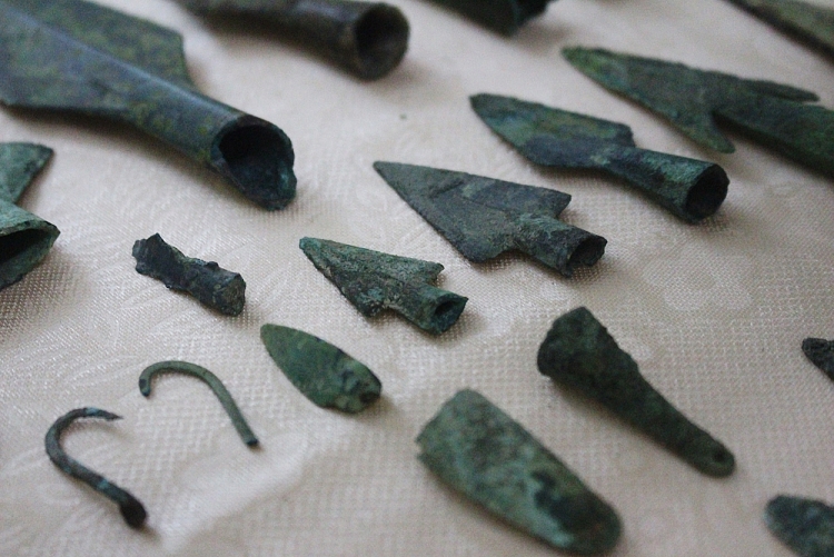 ghe tham bao tang cua nguoi dan ong nang long voi co vat