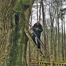 tim thay ngoi mo co 2800 nam chua day vang