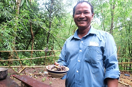 dac san nhen rung o vung rung binh thuan