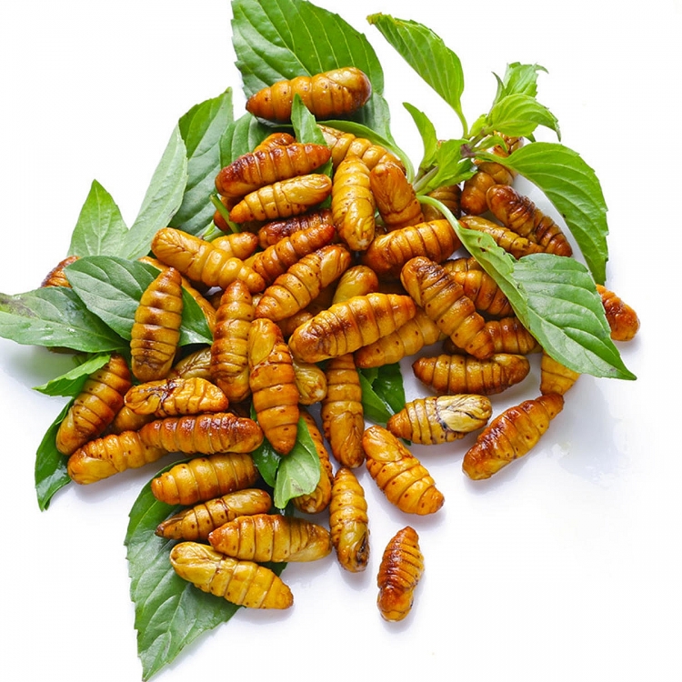 nhung mon an viet khien khach nuoc ngoai lac dau le luoi