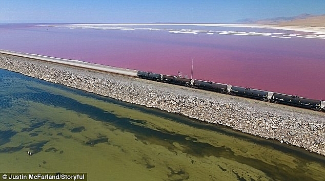 ky la ho muoi co hai mau xanh do duoc ngan doi boi duong tau hoa