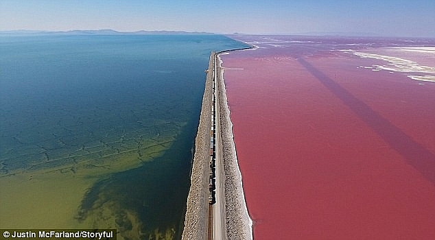 ky la ho muoi co hai mau xanh do duoc ngan doi boi duong tau hoa