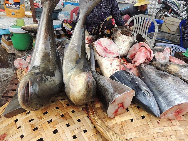 cho nai cho que hut khach ngoai