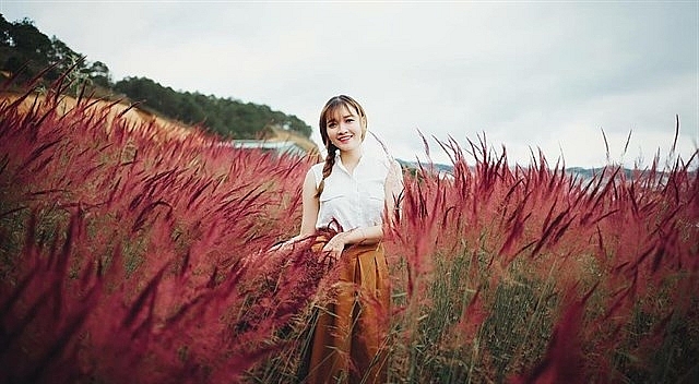 chiem nguong canh dong co hong dep quen sau tai da lat