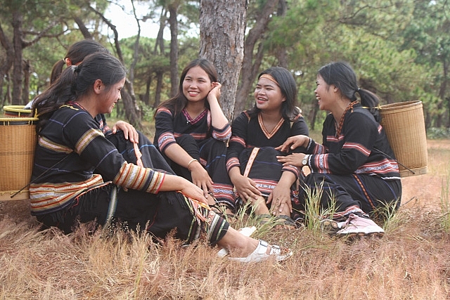 Thơ mộng đồi cỏ hồng dưới những gốc thông bonsai tho mong doi co hong duoi nhung goc thong bonsai