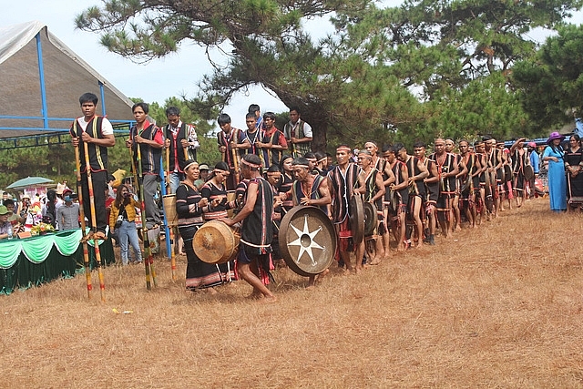 Thơ mộng đồi cỏ hồng dưới những gốc thông bonsai tho mong doi co hong duoi nhung goc thong bonsai