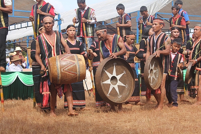 Thơ mộng đồi cỏ hồng dưới những gốc thông bonsai tho mong doi co hong duoi nhung goc thong bonsai