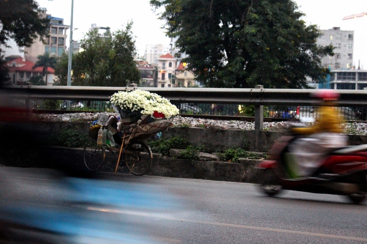 hoa mi xuong pho tren nhung ganh hang rong