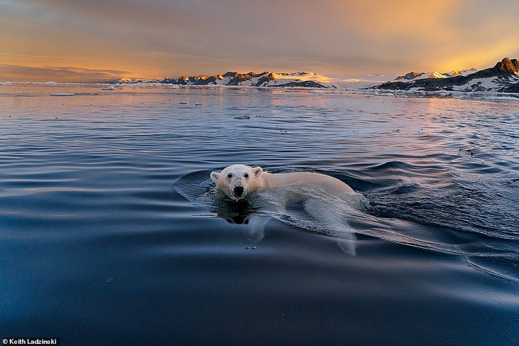 nhung diem du lich dep tuyet voi ban nen den trong nam 2019